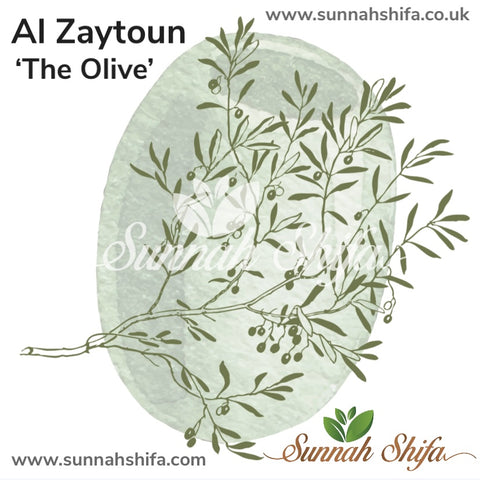 Olive Oil | Cold-pressed Olive Oil | Extra Virgin Olive Oil | Zaytoun