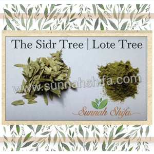 Benefits of the Sidr Tree | Lote Tree | Sidr Leaves