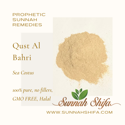 Qust Al Bahri | Sea Costus | Sunnah | Sunnah Shifa | Wholesale | Bulk
